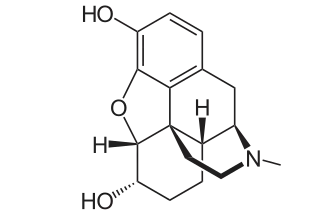 Chemical structure of Dihydromorphine 2D structure.