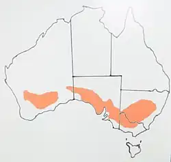 Distribution Map Gilbert's whistler (Pachycephala inornata)