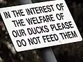 Sign telling citizens to not feed the ducks[33]