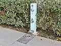 A drinking fountain for dogs, Spain, 2022