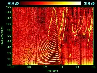 Spectrogram of dolphin vocalizations; chirps, clicks and harmonizing are visible as inverted Vs, vertical lines and horizontal striations respectively.