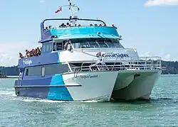 Dolphin Seeker, Paihia