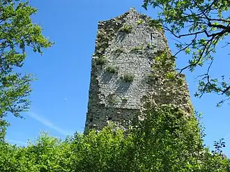 Tower of the Chateau