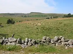 View of the northern Aubrac region.