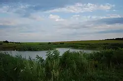 Wetland in Dridu