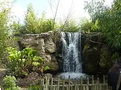 A waterfall at the zoo