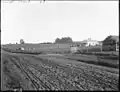 Mr. Duck's farm at Te Kowhai, c. 1910