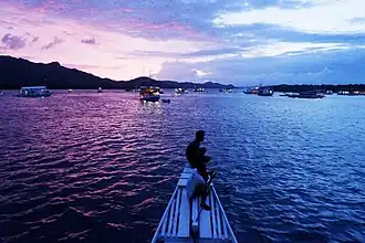 Bats and sunset at Kalong island