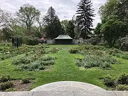 Early Rose Garden