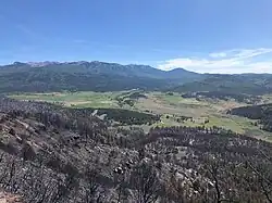 East Canyon Fire's burn scar on the north flank on June 21, 2020
