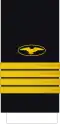 Capitán de navío (Ecuadorian Navy)[54]