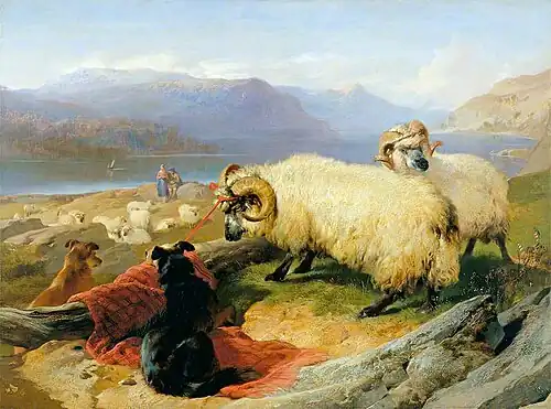 Tethered Rams by Edwin Landseer