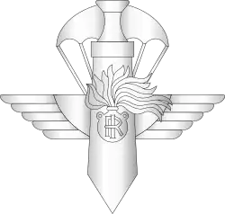 Gruppo di Intervento Speciale Official Insignia