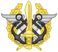 Emblem of the Joint Special Operations Command (MCOE)