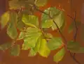 Bøgeblade, oil on canvas