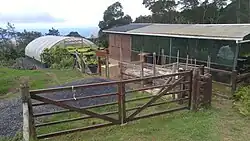 The endemic plant nursery