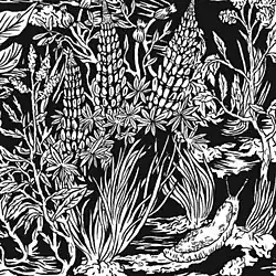 A black and white drawing of corn and grasses