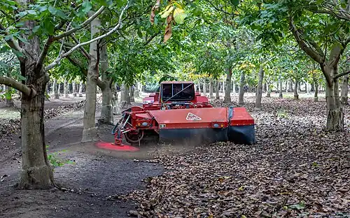 FLORY 34 Series Nut Sweeper during harvest in Glenn County, California