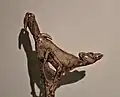 Detail of the spear-thrower