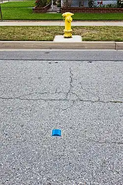 A blue reflector marks the location of the fire hydrant