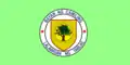 Flag of Camiling