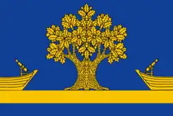Flag of Dubovsky District, Volgograd Oblast