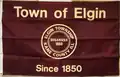 Flag of Elgin Township