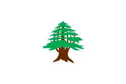 Flag used by Lebanese Maronites in the 19th century, and first raised as a Lebanese flag in 1918 (1918–1920)