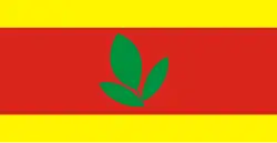 Flag of Makedonski Brod Municipality