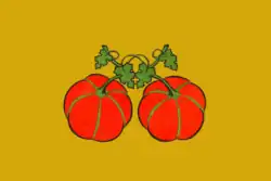 Flag of Sengileyvsky District