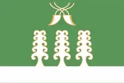 Flag of Sharansky District