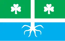 Flag of Torma Parish