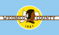 A light blue flag with the county seal in the center and a white horizontal stripe