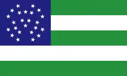 Flag of the NYPD