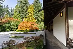 a raked gravel Japanese garden with fall colors seen in the trees