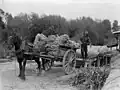 Flax milling at Pōkeno (1930)