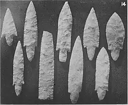 Arrowheads from Narmer's tomb, Petrie 1905, Royal Tombs II, pl. IV.14. According to Dreyer,[34] these arrowheads are probably from the tomb of Djer, where similar arrowheads were found.[135]