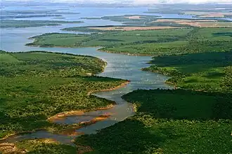 Low aerial view of Iberá Provincial Reserve