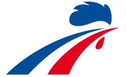 Shirt badge/Association crest