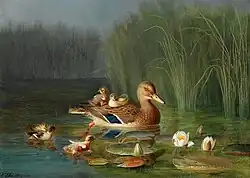 Wild Ducks, 1883