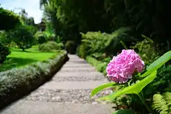 Flower in the botanical garden