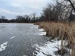 Wakefield Lake in Maplewood
