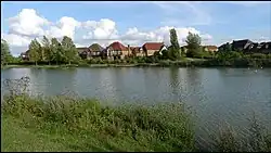 an image of the lake with water-margin plants in the foreground, houses in the background