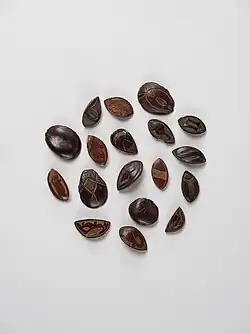 Abbie game pieces, Cameroon, 19th–20th century.