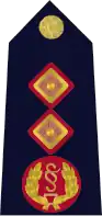 Rank insignia of Garda Commissioner