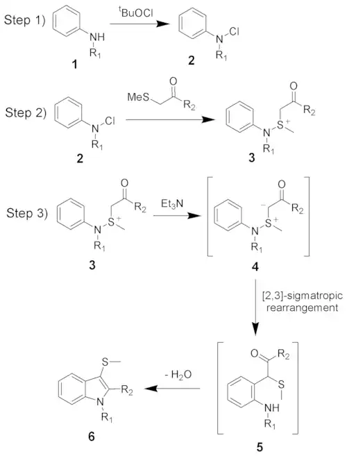 The reaction mechanism of the Gassman indole synthesis
