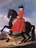 Portrait of a young woman on a horse