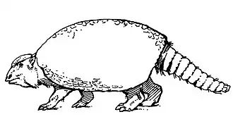 Life restoration from 1910 of Glyptotherium texanum