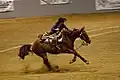 A rider on horseback races down the arena and dismounts, often while the horse is still moving