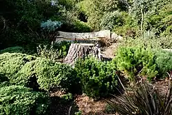 Landscaped woods with stone wall in background